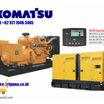 Jual Genset Perkins 250 KVA Harga Terbaru - PT. Triguna Karya Nusantara