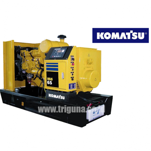 Jual Genset Perkins 250 KVA Harga Terbaru - PT. Triguna Karya Nusantara